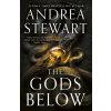 The Gods Below (Andrea Stewart)(Brožovaná)