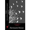 Demian: Die Geschichte von Emil Sinclairs Jugend (German) (Hermann Hesse)(Brožovaná)