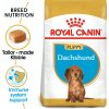 Royal Canin Dachshund Puppy 1,5 kg