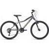 Bicykel CTM Berry Matná Šedá 2026 24