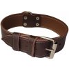 Palkar Obojok z kože hladenice pre psov 50 cm × 40 mm hnedý