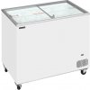 TEFCOLD IC 301 SC
