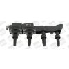 BorgWarner (BERU) Zapalovací cívka ZSE046