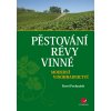 Pěstování révy vinné