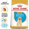 Royal Canin Puppy Labrador Retriever granule pre šteniatka 3 kg
