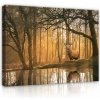Obraz Na Plátne JELEŇ LES STROMY Spálňa 120x80