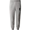 The North Face The North Face Fine Alpine sweatpants