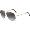 Cartier CT0065S 001