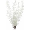 biOrb Plastová rastlina - Sea Fan bielá 49 cm