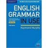 English Grammar in Use 5th edition