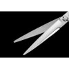 BaByliss PRO FX707ZGSE Skeleton