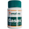 Himalaya Gasex 100 tabliet