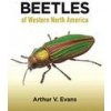 Beetles of Western North America