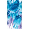 Dimex fototapeta Tulipány v modrom S-488 | 110 x 220 cm (Vliesová fototapeta | lepidlo zdarma)