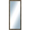 DANTIK - Zrkadlo v rámu, rozmer s rámom 50x120 cm z lišty Ferrosa bronzová (3143)