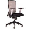 OFFICE PRO Kancelárska stolička CALYPSO sivá svetlá