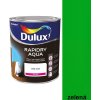 Dulux Rapidry Aqua Zelená, vodouriediteľný univerzálny náter 0.75l, zelená
