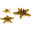 BiOrb Sea Stars set žltá 10, 8 a 5 cm