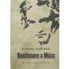 vydavateľstvo matice slovenskej Beethoven a Múza