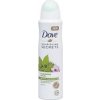 Dove antiperspirant 48h sprej Matcha green tea & Sakura blossom scent, 150 ml
