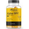 Alpha GPC 300 mg 60 kapslí – Tree of Health
