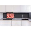 DIMEX | Dibond doska za kuchynskú linku | DBW-06040-052 Ruže | 60 x 40 cm + Dibond obkladová doska Dimex do kuchyne Ruže v rozmere 60 x 40 cm