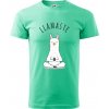 Yoga Llamaste - Klasické pánske tričko vyššej gramáže - 3XL ( Mätová )