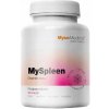 Myspleen 90 kapsúl MycoMedica