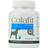 Colafit 4 Max Forte 100 tbl