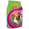 Avicentra Standard morče 1 kg