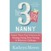 3-Day Nanny