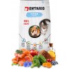 Ontario Kitten losos 6,5kg