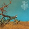 Molly Tuttle & Golden Highway - Crooked Tree