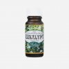 Saloos Esenciálny olej Eukalyptus 10 ml