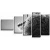 Sablio Obraz - 5-dílný Revúci lev - 100x60 cm