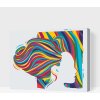 Vymalujsisam.sk Maľovanie podľa čísiel - Žena s farebnými vlasmi Veľkosť: 40x50cm, Rám: Na plastovej doske