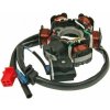 101octane Stator cievky pre motor GY6 125 a 150cc 6cievka