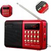 LCD Digitálny RÁDIO AM FM S PRENOSNÝMI BATÉRIAMI MINI JACK ANTÉNA USB SD TF Card