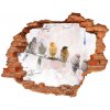 Diera 3D fototapeta nálepka Vtáky na vetve 90x70 cm