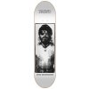 Skate doska ANTIZ MUSIC GG ALLIN 8.2