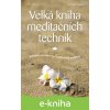 E-kniha Velká kniha meditačních technik - Ronald D. Siegel