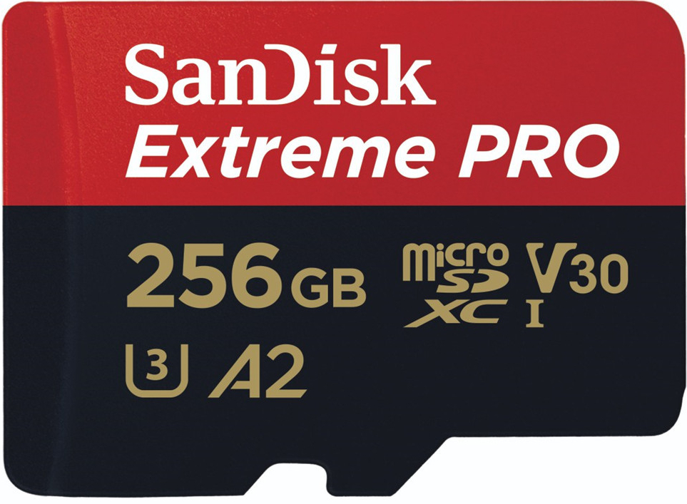 SanDisk microSDXC 256 GB SDSQQVR-256G-GN6IA