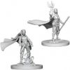 Dungeons & Dragons Nolzur's Marvelous Miniatures - Elf Female Druid 2-pack, 4 cm