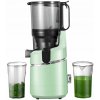 Pomalý odšťavovač Amzchef SJ-036-GN 250 W