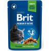 Brit Premium Cat Sterilised Chicken 24 x 100 g