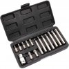 Sada bitov 15-dielna TORX, XL-TOOLS