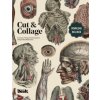 Cut and Collage A Treasury of Vintage Anatomy Images for Collage and Mixed Media Artists (Kale James)(Brožovaná)