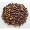 Mivardi Rapid Boilies Multi mix 2500g