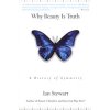 Why Beauty Is Truth: A History of Symmetry (Stewart Ian)