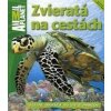 Zvieratá na cestách - Dwight Holing